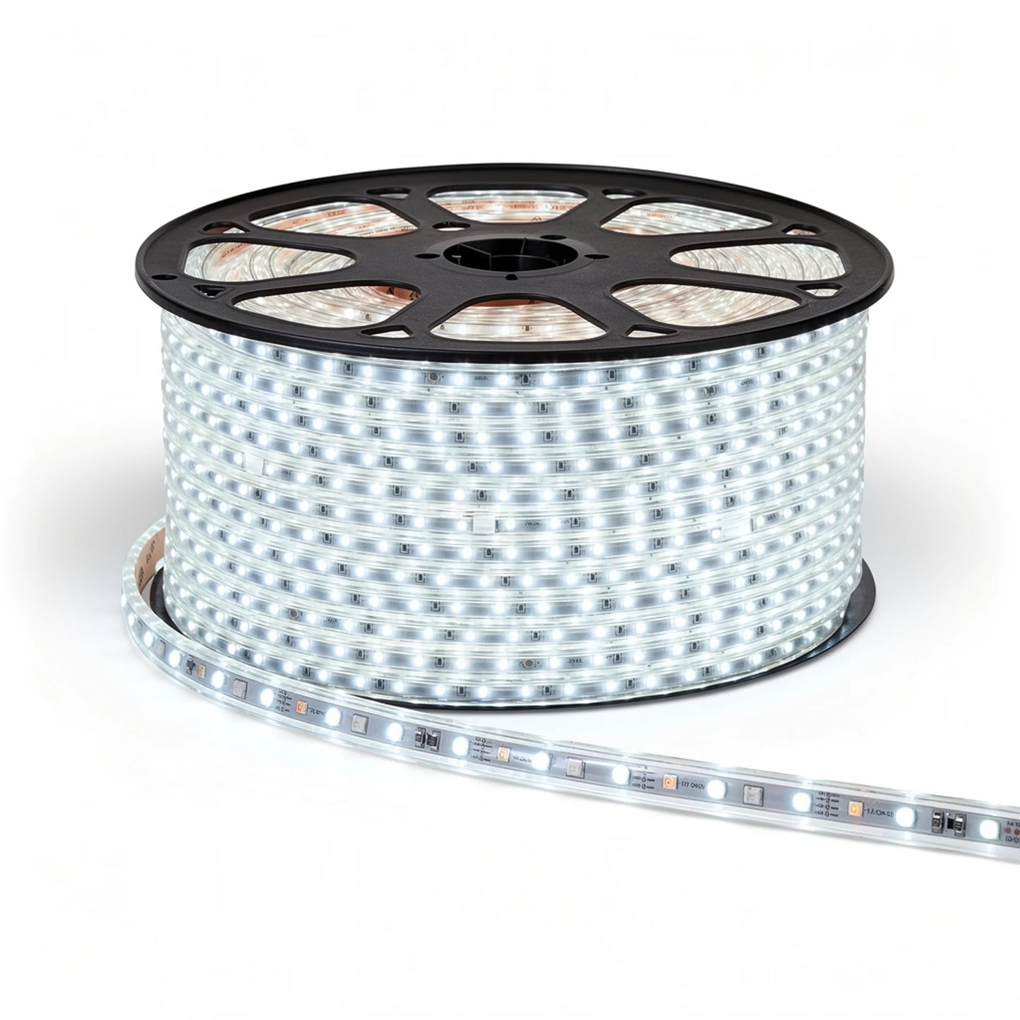 Striscia LED 220 V bianco freddo 6500 K Striscia LED 5050 interno esterno 220 V Bobina da 50 m